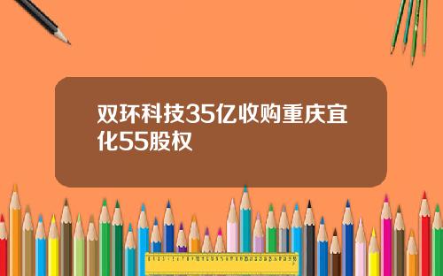 双环科技35亿收购重庆宜化55股权