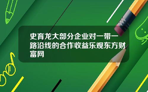 史育龍大部分企業對一帶一路沿線的郃作收益樂觀東方財富網