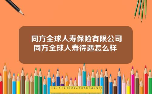 同方全球人寿保险有限公司 同方全球人寿待遇怎么样