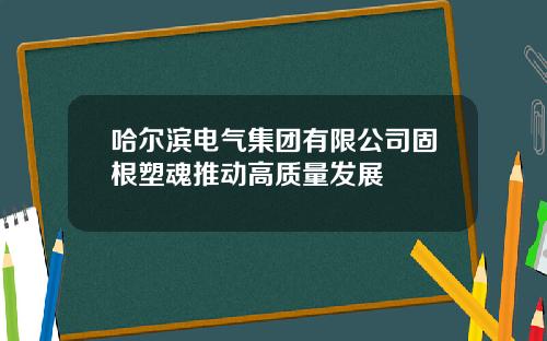 哈爾濱電氣集團有限公司固根塑魂推動高質量發展