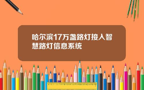 哈爾濱17萬盞路燈接入智慧路燈信息系統