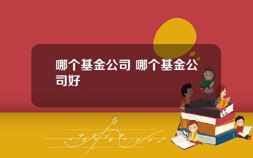 哪个基金公司 哪个基金公司好