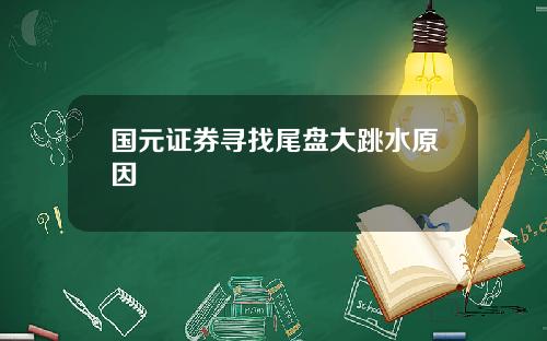 国元证券寻找尾盘大跳水原因
