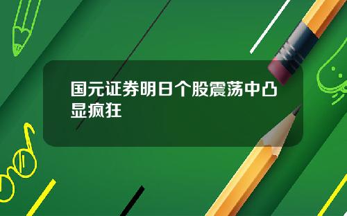 國元証券明日個股震蕩中凸顯瘋狂