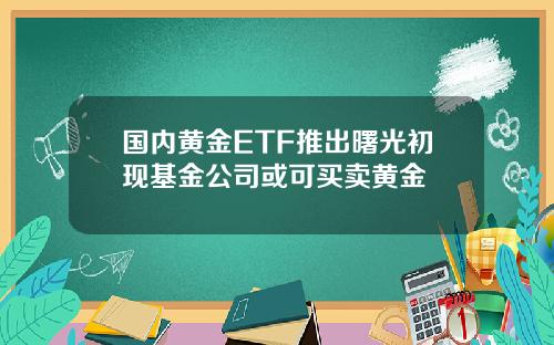 國內黃金ETF推出曙光初現基金公司或可買賣黃金