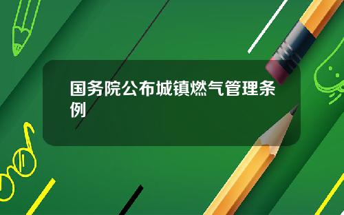 国务院公布城镇燃气管理条例
