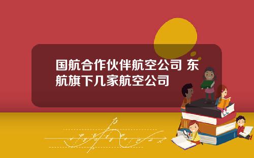 国航合作伙伴航空公司 东航旗下几家航空公司