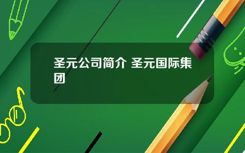圣元公司简介 圣元国际集团