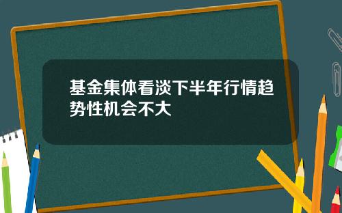 基金集体看淡下半年行情趋势性机会不大