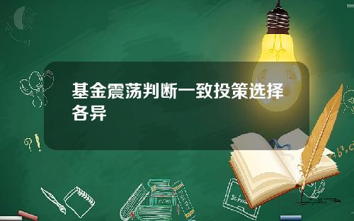 基金震荡判断一致投策选择各异