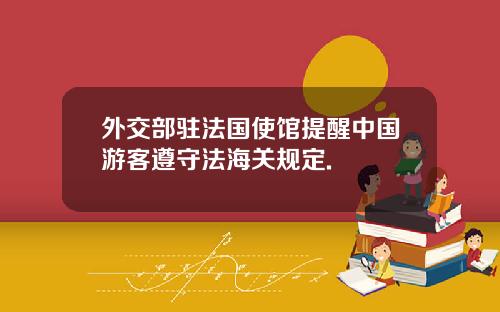 外交部驻法国使馆提醒中国游客遵守法海关规定.