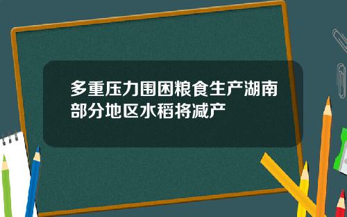 多重压力围困粮食生产湖南部分地区水稻将减产
