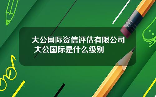 大公國際資信評估有限公司 大公國際是什麽級別