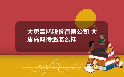 大唐高鸿股份有限公司 大唐高鸿待遇怎么样