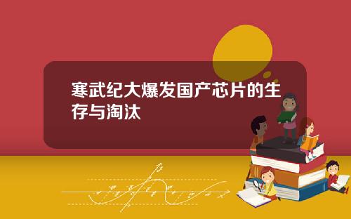 寒武纪大爆发国产芯片的生存与淘汰