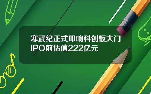 寒武纪正式叩响科创板大门IPO前估值222亿元