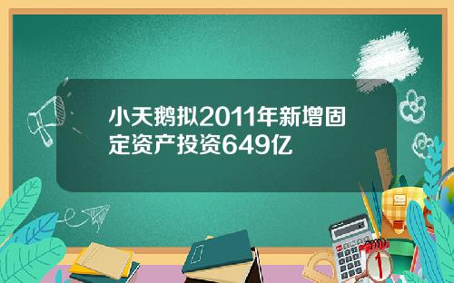 小天鹅拟2011年新增固定资产投资649亿