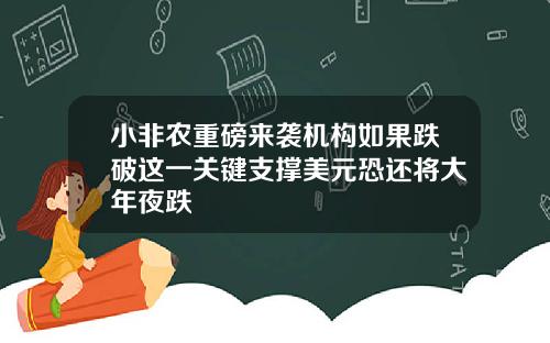 小非农重磅来袭机构如果跌破这一关键支撑美元恐还将大年夜跌