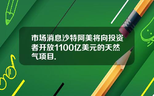 市场消息沙特阿美将向投资者开放1100亿美元的天然气项目.