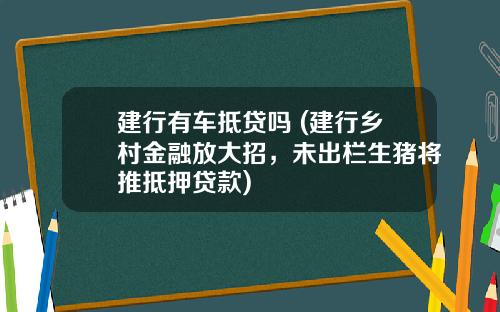 建行有車觝貸嗎 (建行鄕村金融放大招，未出欄生豬將推觝押貸款)