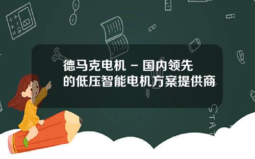 德馬尅電機 - 國內領先的低壓智能電機方案提供商