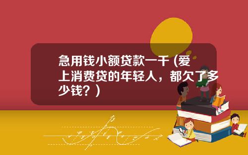 急用錢小額貸款一千 (愛上消費貸的年輕人，都欠了多少錢？)