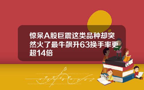 惊呆A股巨震这类品种却突然火了最牛飙升63换手率更超14倍