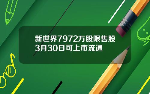 新世界7972万股限售股3月30日可上市流通