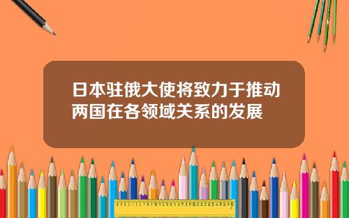 日本驻俄大使将致力于推动两国在各领域关系的发展