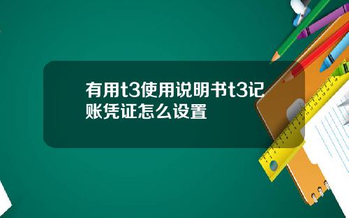 有用t3使用說明書t3記賬憑証怎麽設置