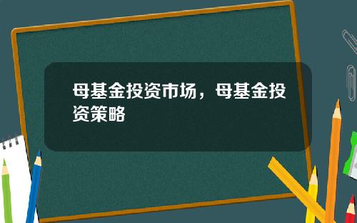 母基金投資市場，母基金投資策略