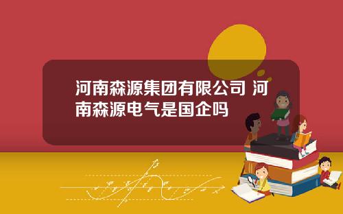 河南森源集團有限公司 河南森源電氣是國企嗎