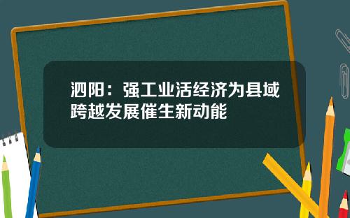 泗陽：強工業活經濟爲縣域跨越發展催生新動能