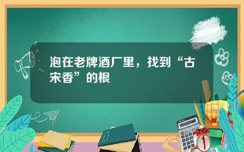 泡在老牌酒厂里，找到“古宋香”的根