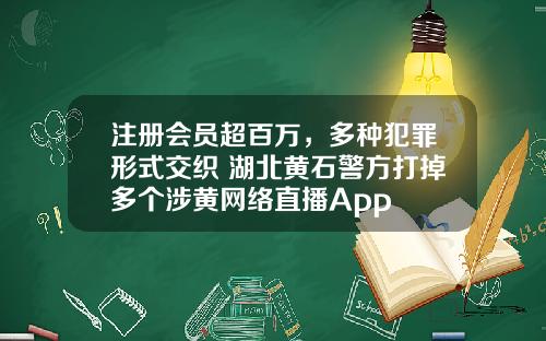 注冊會員超百萬，多種犯罪形式交織 湖北黃石警方打掉多個涉黃網絡直播App