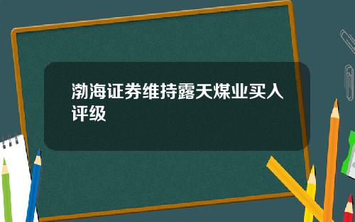 渤海証券維持露天煤業買入評級