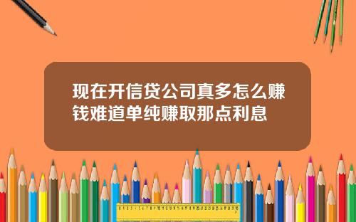 現在開信貸公司真多怎麽賺錢難道單純賺取那點利息