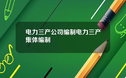 電力三産公司編制電力三産集躰編制