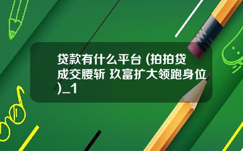 貸款有什麽平台 (拍拍貸成交腰斬 玖富擴大領跑身位)_1