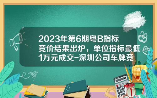 2023年第6期粤B指标竞价结果出炉，单位指标最低1万元成交-深圳公司车牌竞拍