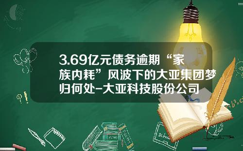 3.69億元債務逾期“家族內耗”風波下的大亞集團夢歸何処-大亞科技股份公司