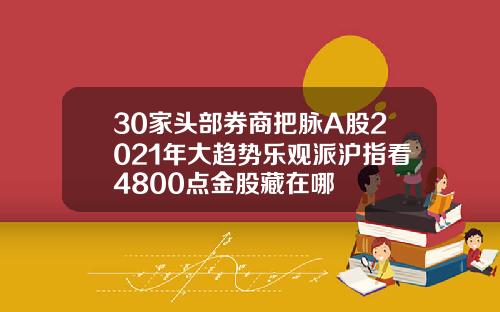 30家頭部券商把脈A股2021年大趨勢樂觀派滬指看4800點金股藏在哪