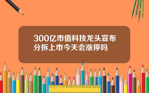 300亿市值科技龙头宣布分拆上市今天会涨停吗