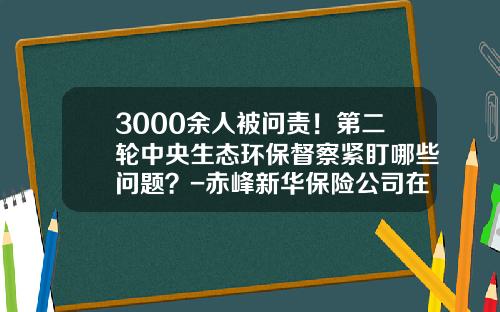 3000餘人被問責！第二輪中央生態環保督察緊盯哪些問題？-赤峰新華保險公司在哪