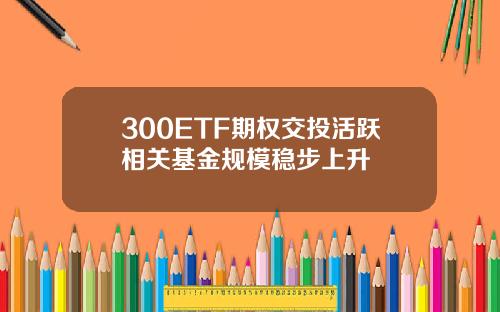 300ETF期权交投活跃相关基金规模稳步上升