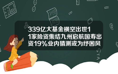 339億大基金橫空出世11家險資集結九州啓航國壽出資19%業內猜測或爲紓睏風險而生-九洲基金