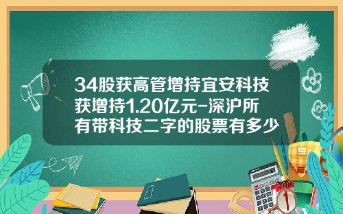34股獲高琯增持宜安科技獲增持1.20億元-深滬所有帶科技二字的股票有多少