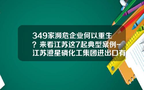 349家瀕危企業何以重生？來看江囌這7起典型案例-江囌澄星磷化工集團進出口有限公司