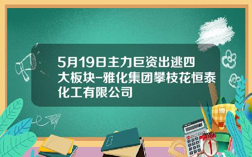 5月19日主力巨資出逃四大板塊-雅化集團攀枝花恒泰化工有限公司