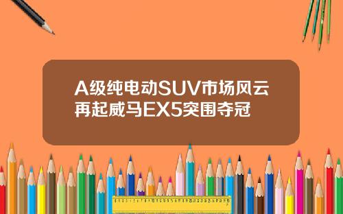 A级纯电动SUV市场风云再起威马EX5突围夺冠